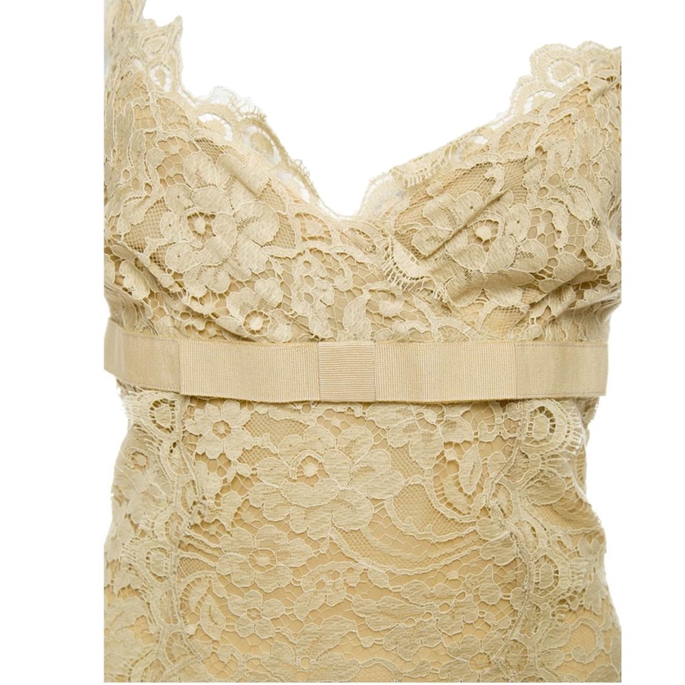 Dolce & Gabbana Taupe Lace Dress - Picture 3 of 3